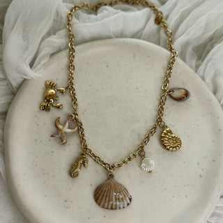 Natural glamour shell