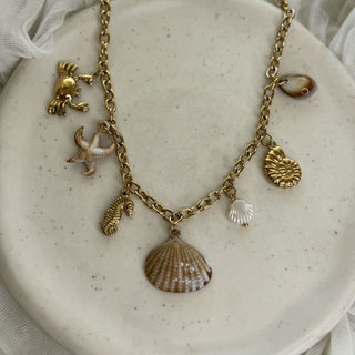 Natural glamour shell