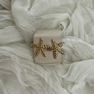 Sunlit starfish