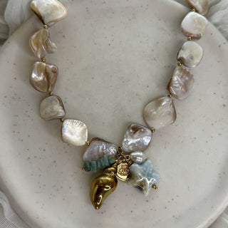 Coastal charm shell