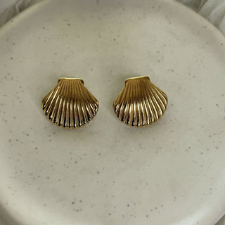 Luxe seashell