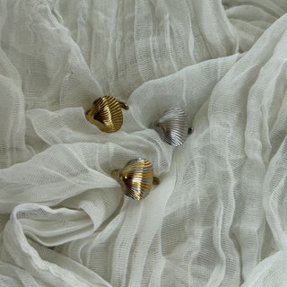 The shell ring
