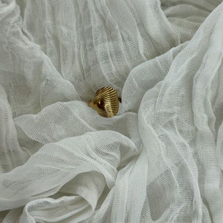 The shell ring