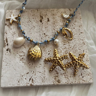 Sunlit starfish