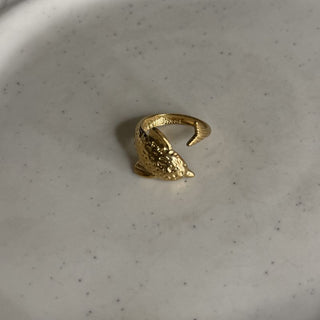 The dolphin ring