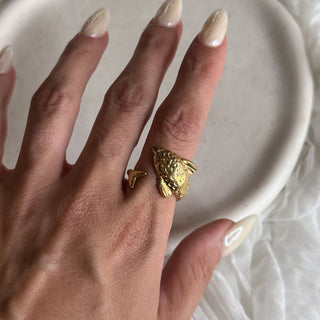 The dolphin ring