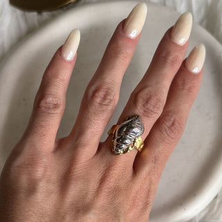 Majestic shell